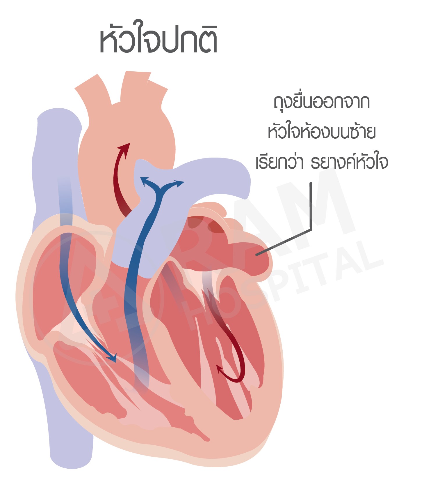 หัวใจเต้นพลิ้ว