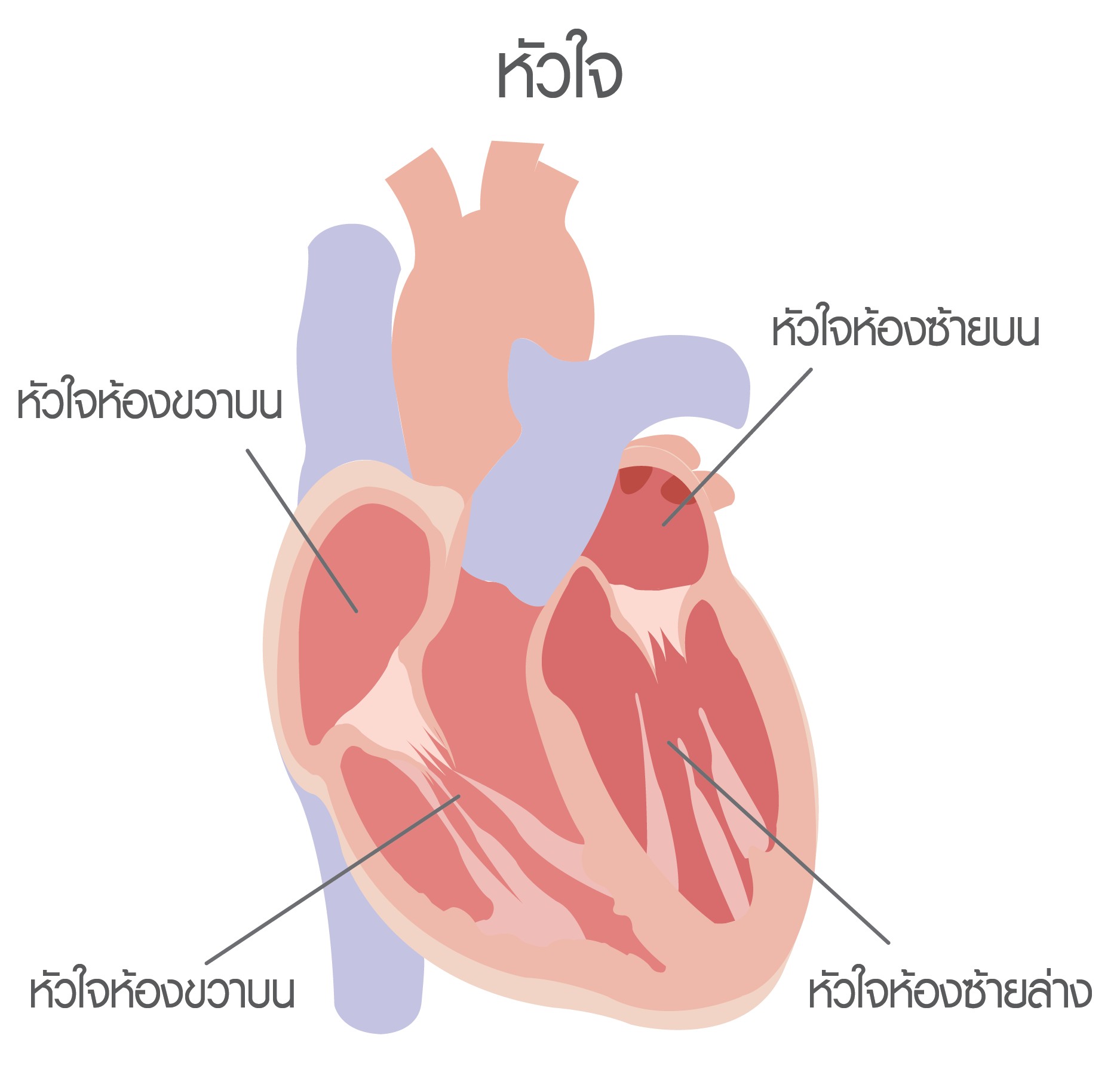 หัวใจเต้นผิดจังหวะ
