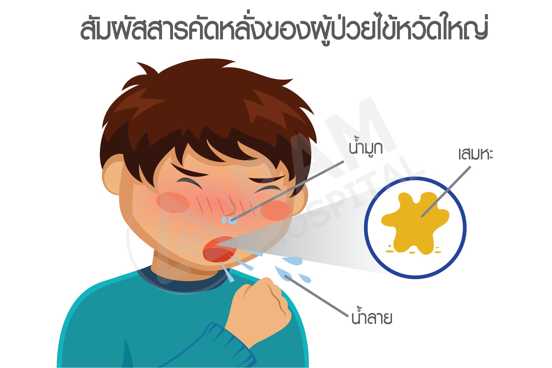 ไข้หวัดใหญ่