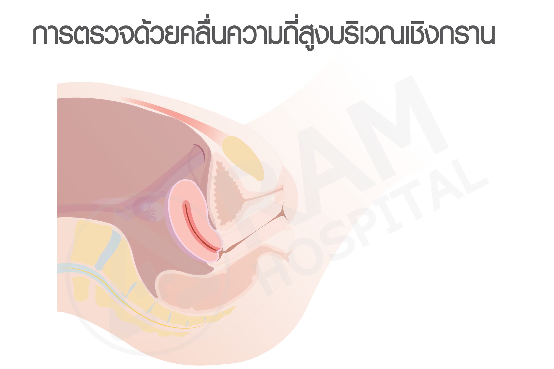 ภาวะหนุ่มสาวก่อนวัย
