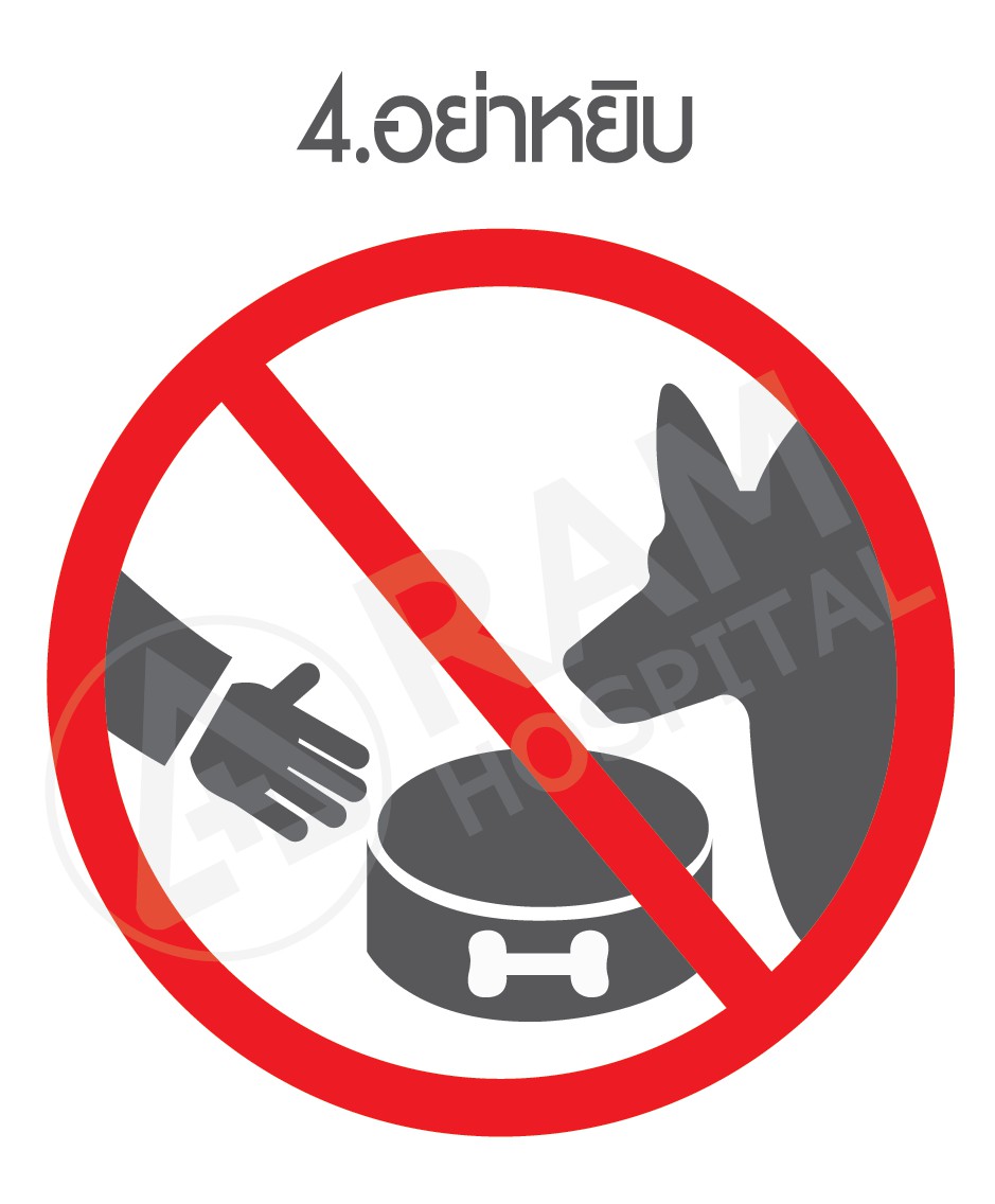 พิษสุนัขบ้า