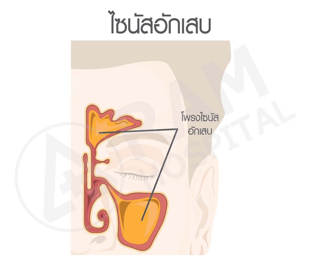 ไข้หวัดใหญ่