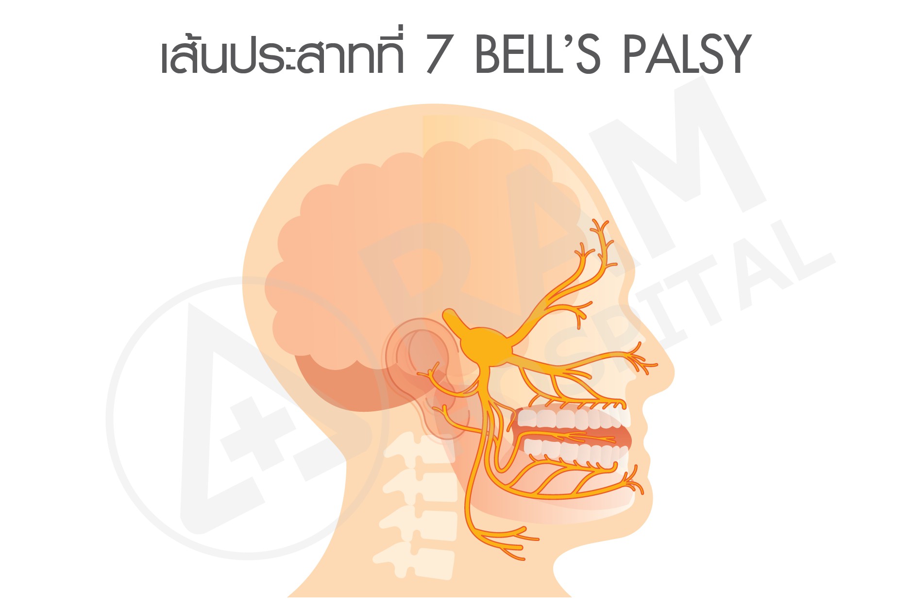 หน้าเบี้ยว