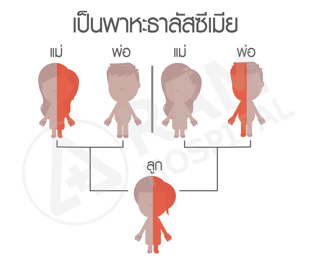 ธาลัสซ๊เมีย