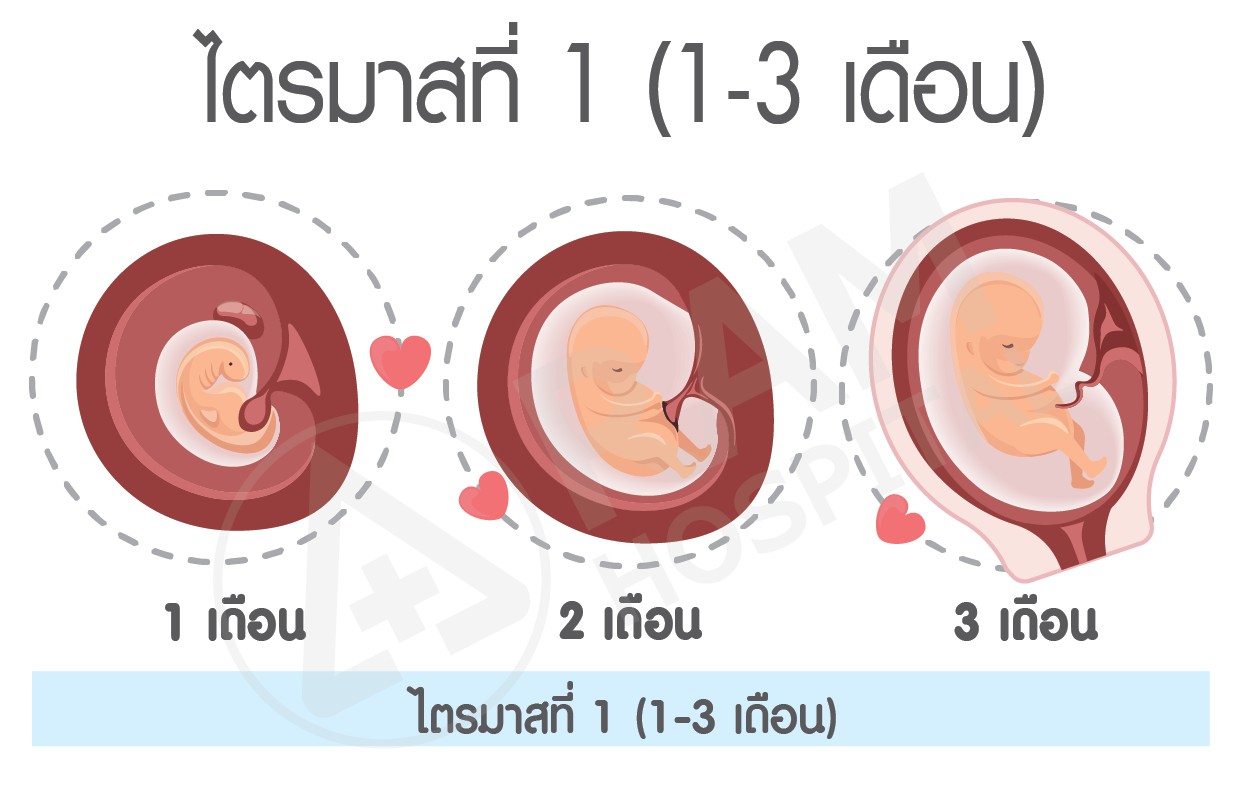 ดูแลช่วงตั้งครรภ์