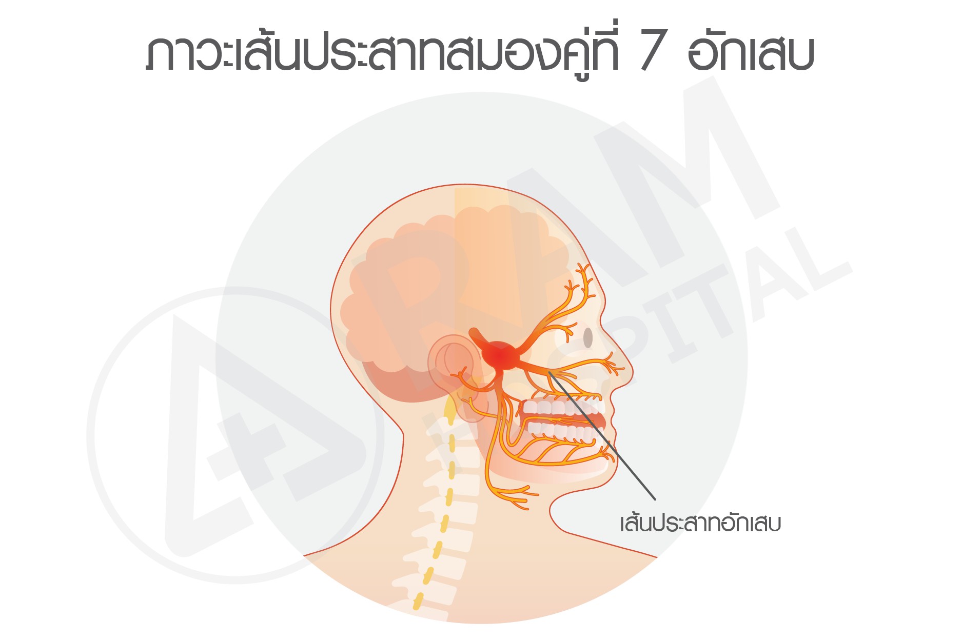 ใบหน้ากระตุกครึ่งซีก