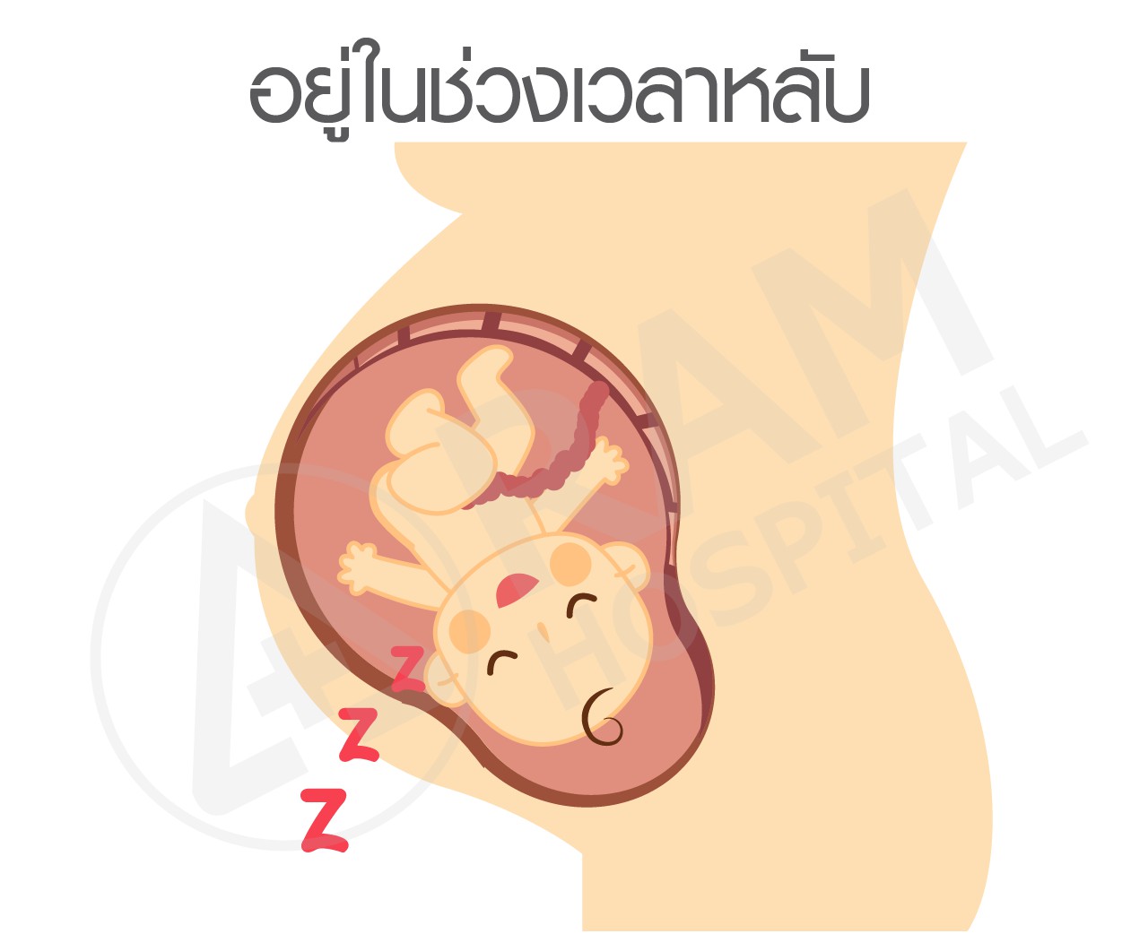 ลูกดิ้น