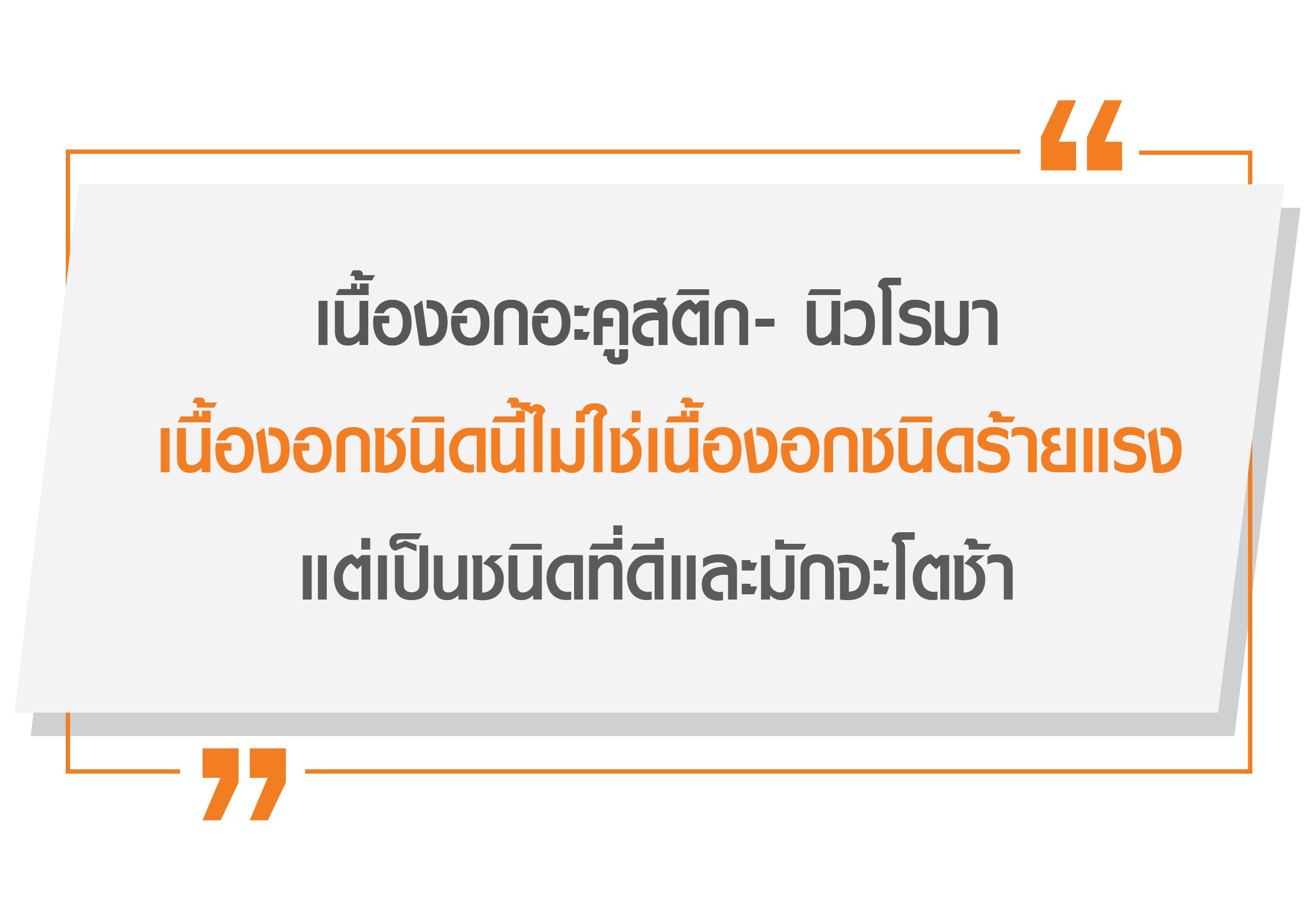 เนื้องอกเส้นประสาทหู