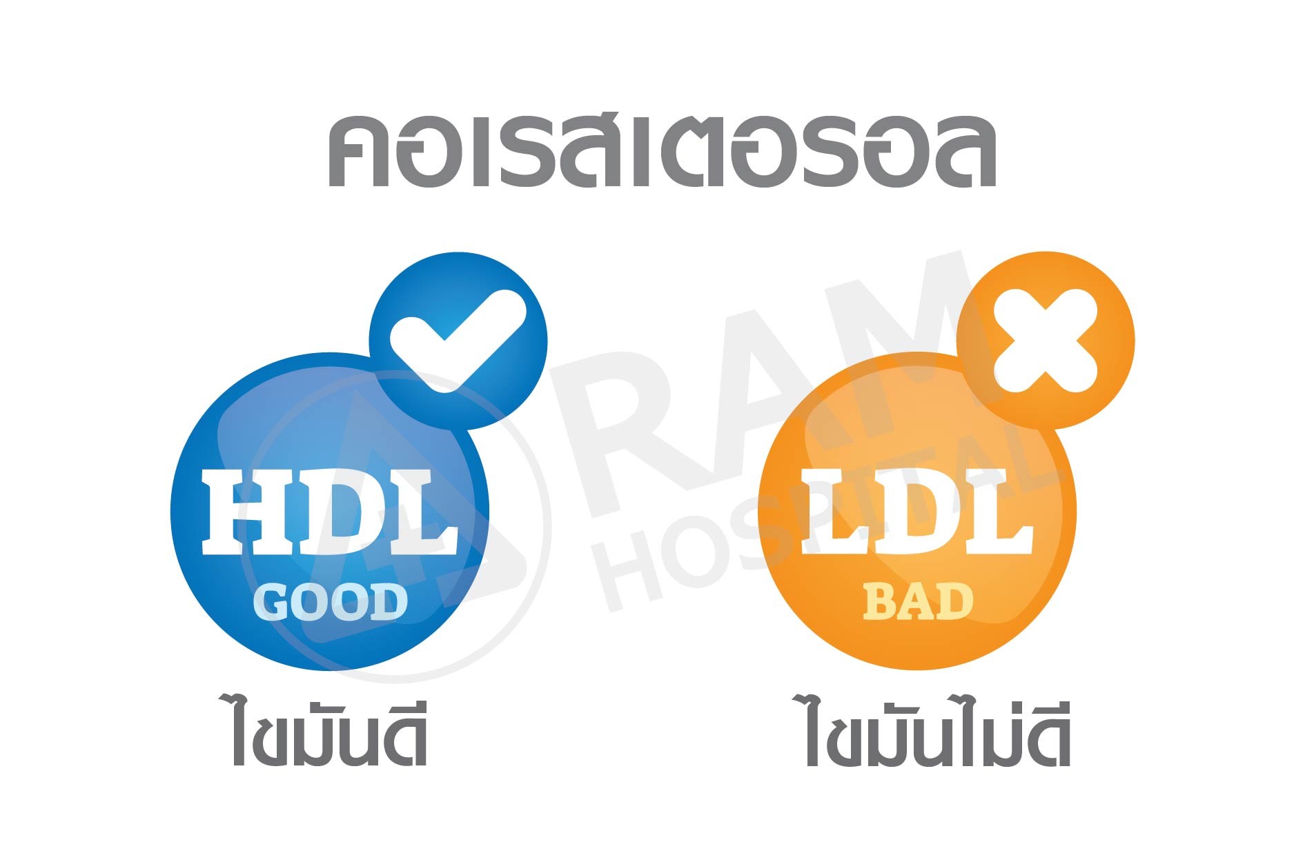 ไขมันในเลือด