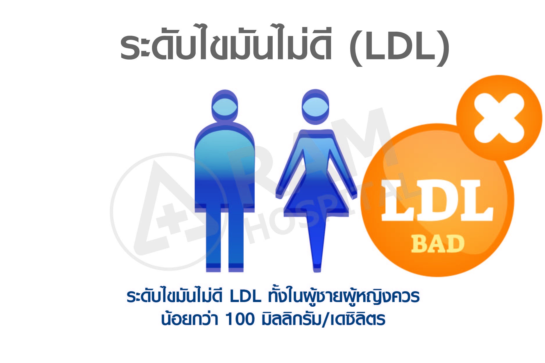 ไขมันในเลือดสูง