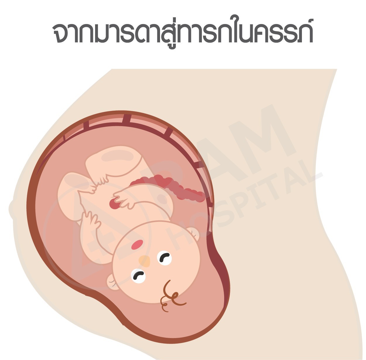 โรคไวรัสตับอักเสบบี