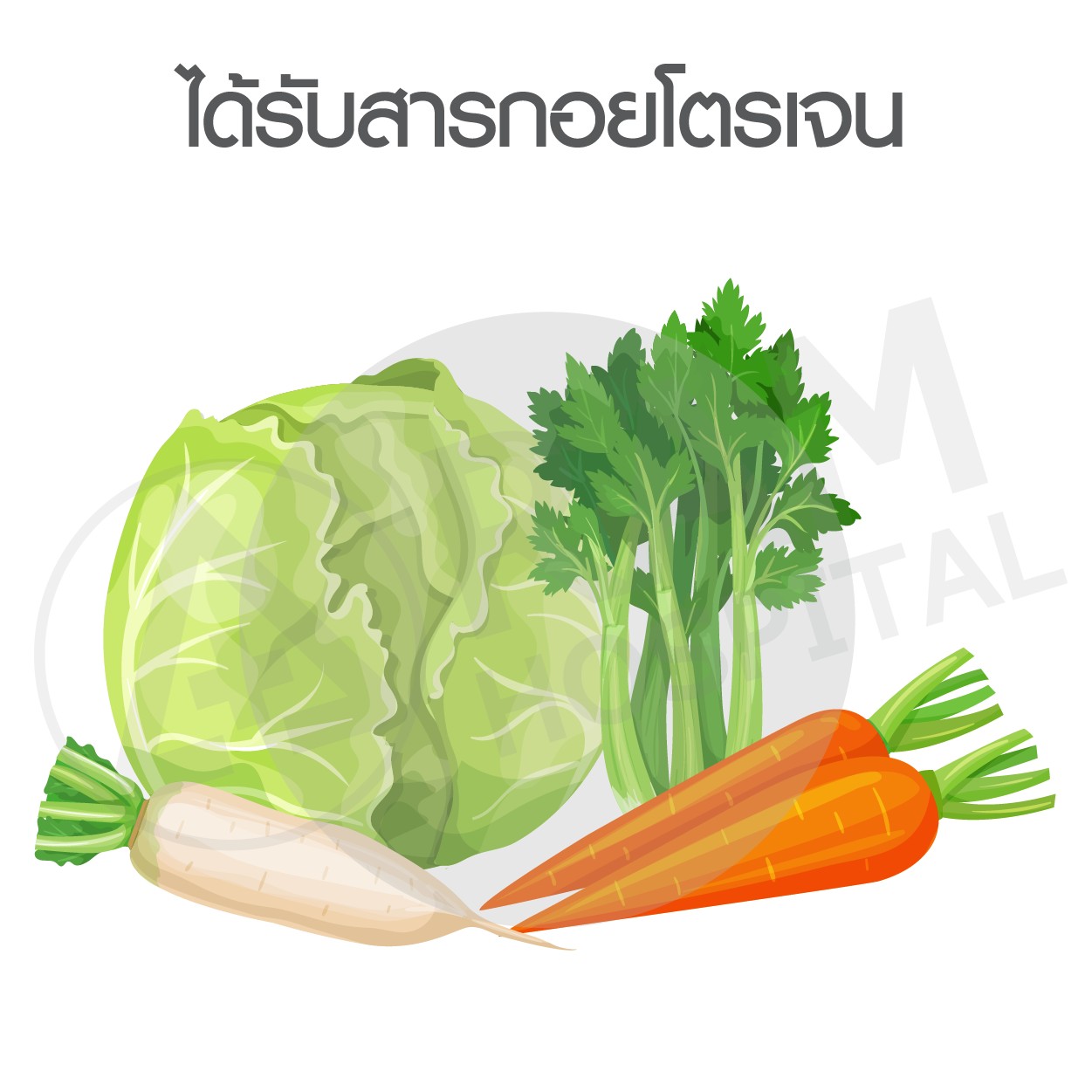คอพอก