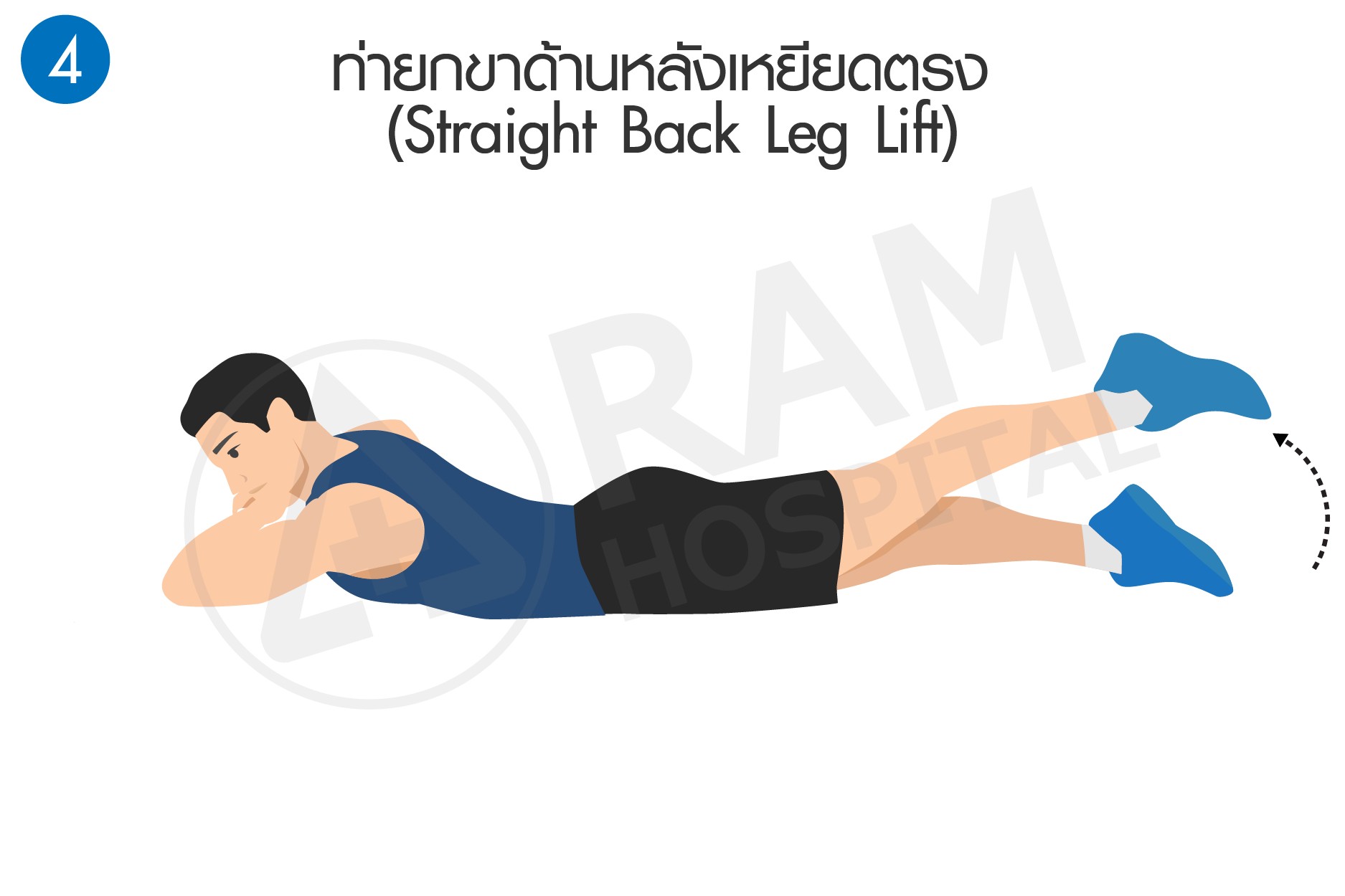 บริหารหลัง