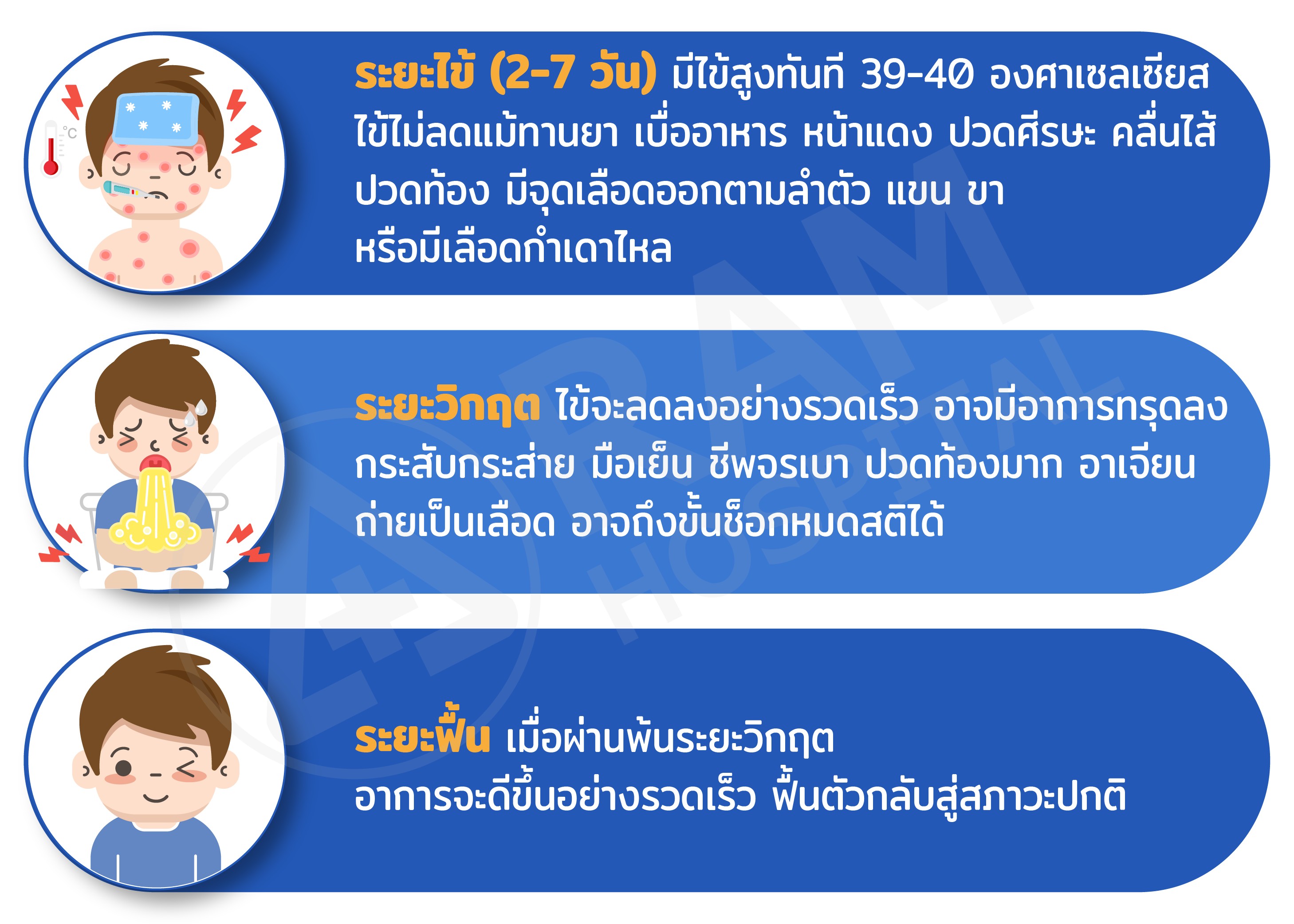 ไข้เลือดออก