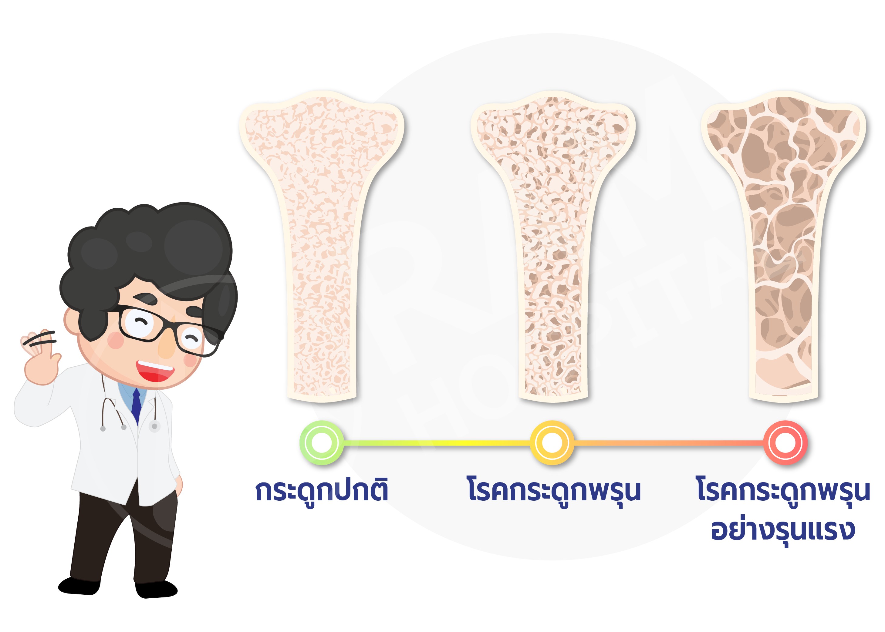 กระดูกพรุน วัยทอง
