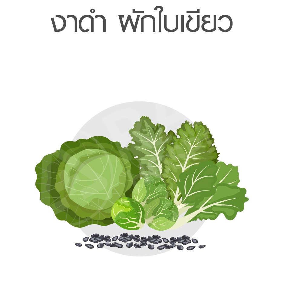 กระดูกพรุน วัยทอง