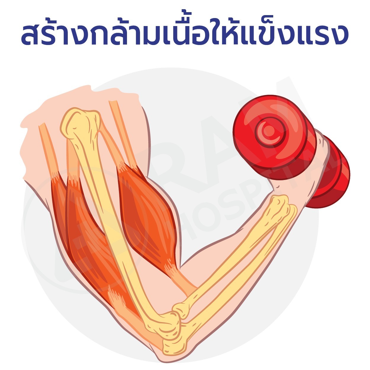 กายบริหาร ข้อเข่าเสื่อม