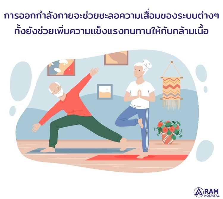 ออกกำลังกาย ผู้สูงอายุ