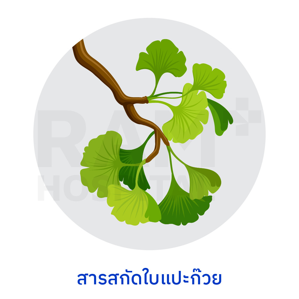 tmao สมองเสื่อม