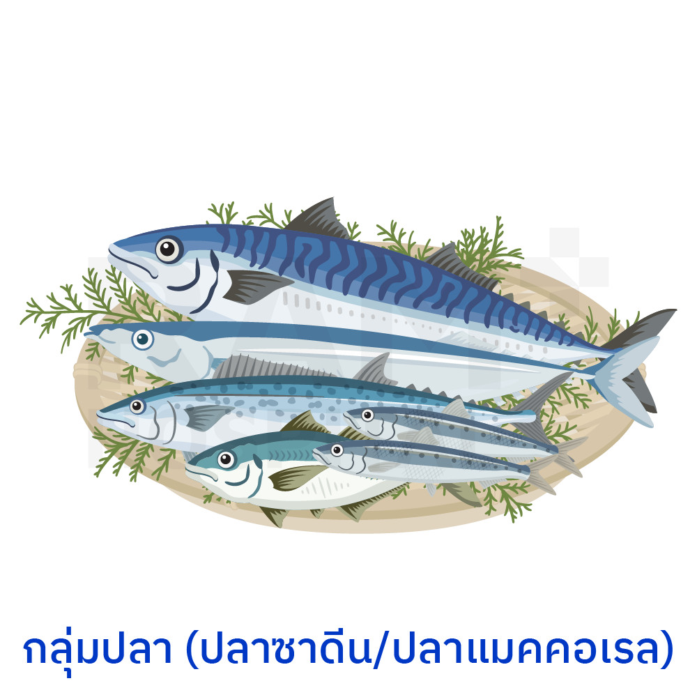 tmao สมองเสื่อม