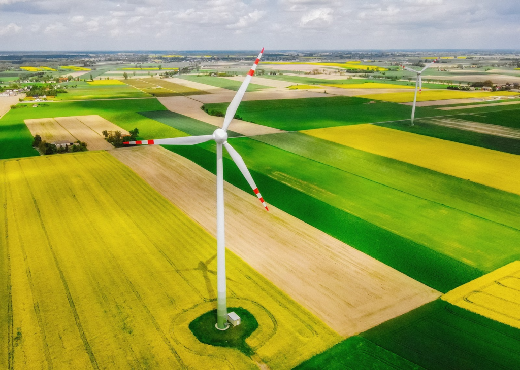 Fields of grass with wind turbines