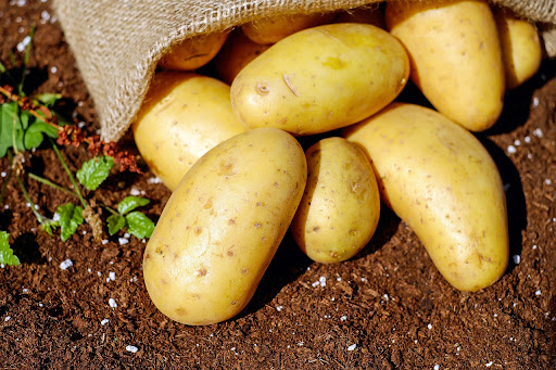 Farming potatoes and other crops