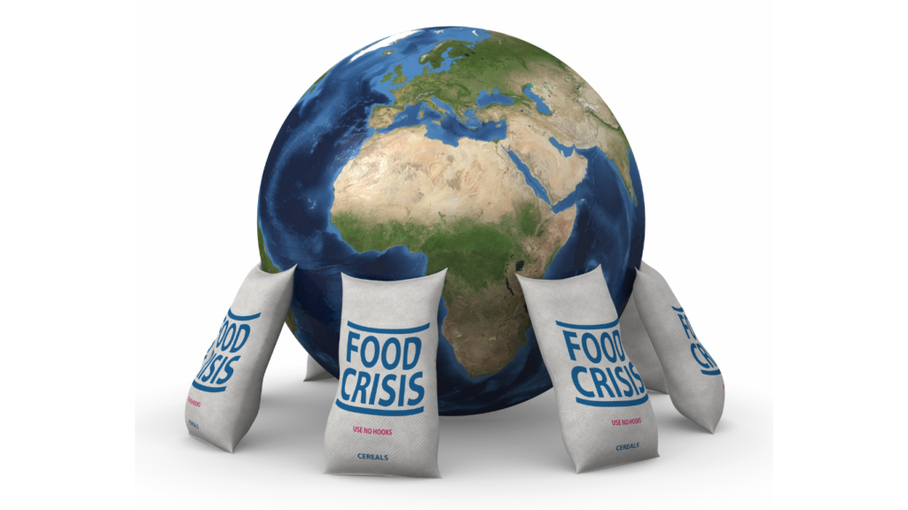 Global food crisis